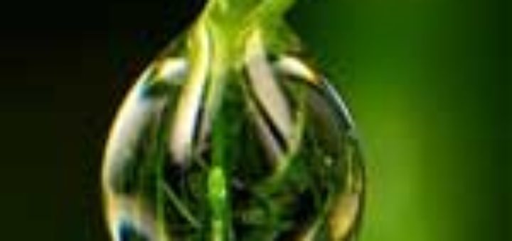 Dew drop