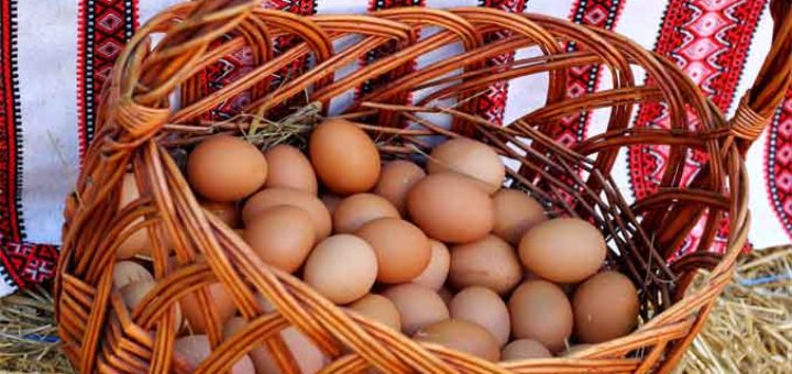 Как хранить куриные яйца без холодильника