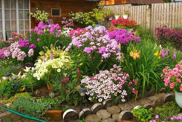 Клумба с многолетними цветами на даче
